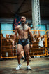 "HELLHOUND" VALE TUDO SHORTS